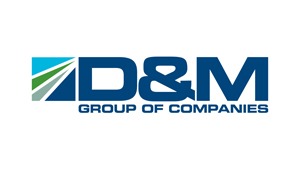 comprehensive IT services D&M