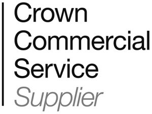 Crown Commercial Service Supplier - logo