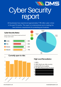 DMS Cyber report example